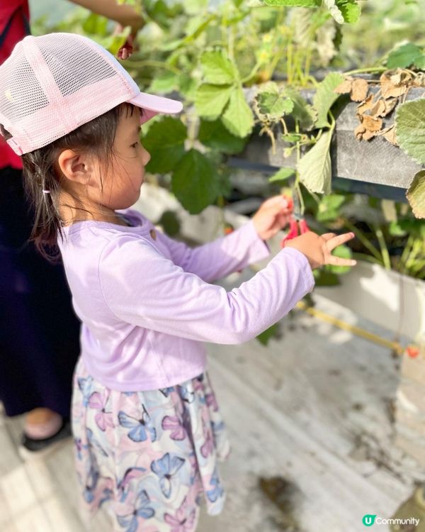 第一次黎到小蜜蜂之家🐝近距離接觸佢地！🐝