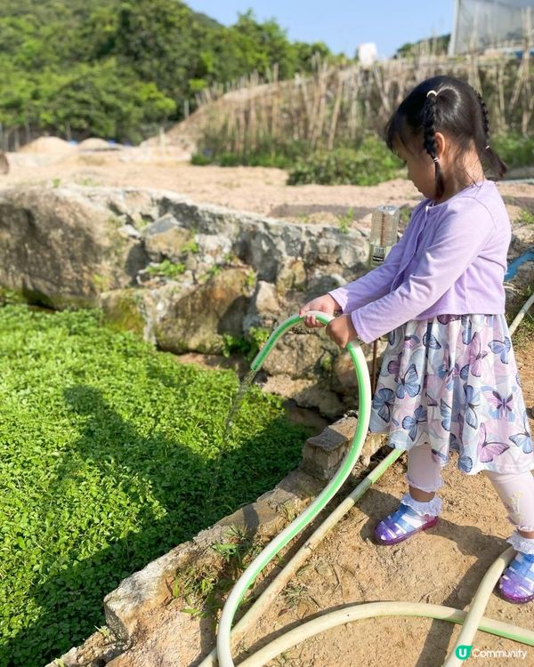 第一次黎到小蜜蜂之家🐝近距離接觸佢地！🐝