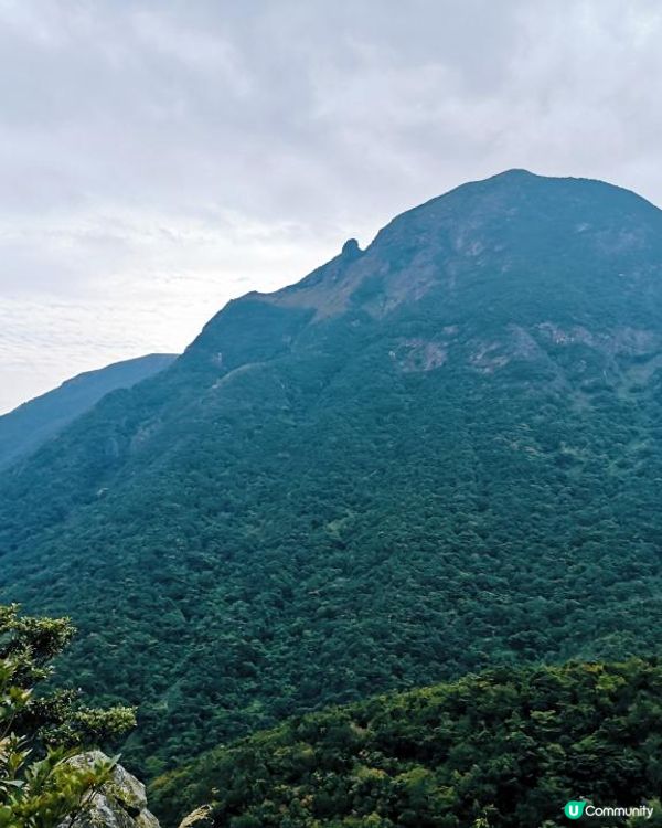 [行山要打卡] 9 - 心經簡林。彌勒山郊遊徑