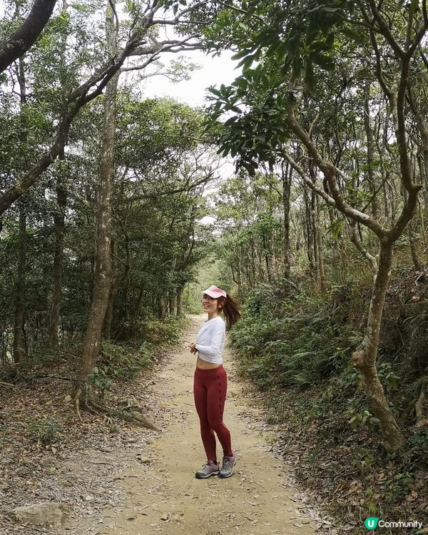 [行山要打卡] 9 - 心經簡林。彌勒山郊遊徑