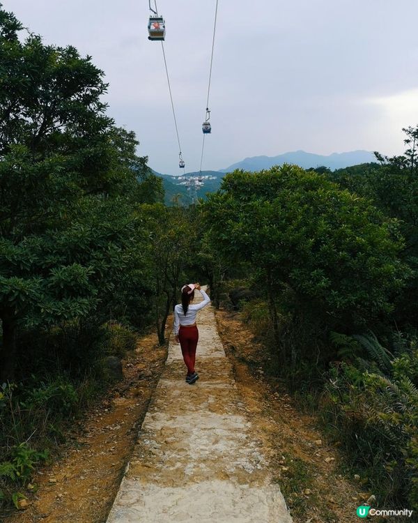 [行山要打卡] 9 - 心經簡林。彌勒山郊遊徑