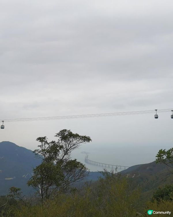 [行山要打卡] 9 - 心經簡林。彌勒山郊遊徑