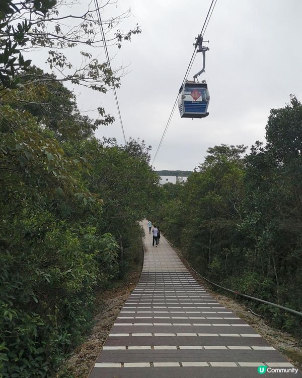 [行山要打卡] 9 - 心經簡林。彌勒山郊遊徑