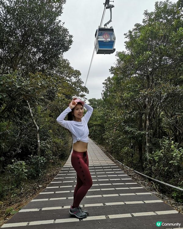 [行山要打卡] 9 - 心經簡林。彌勒山郊遊徑