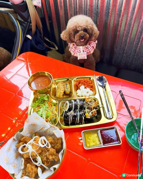 元朗寵物友善韓國餐廳