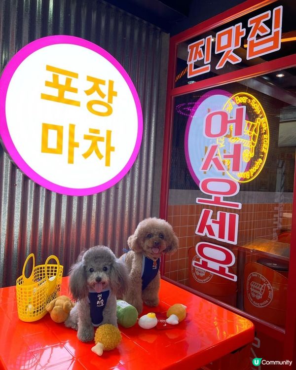 元朗寵物友善韓國餐廳