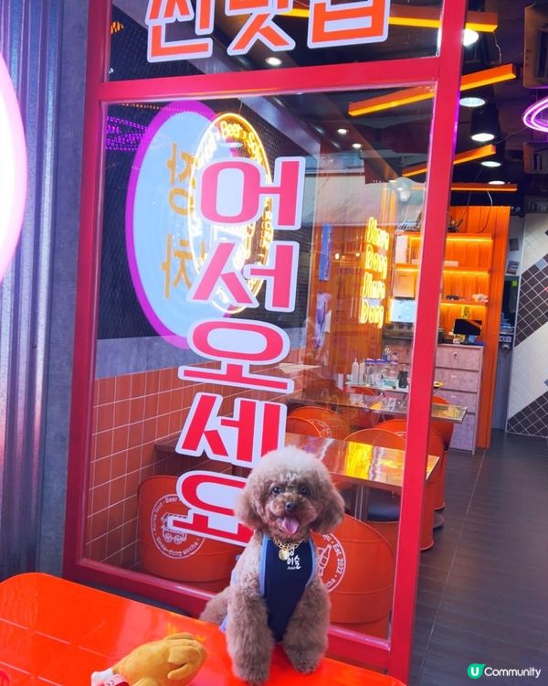 元朗寵物友善韓國餐廳