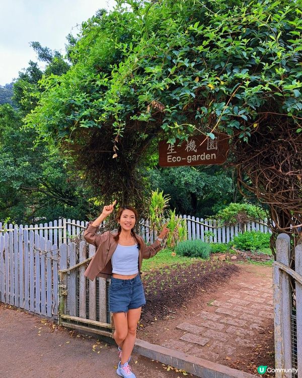 新手。遊車河[2] - 揸車去~嘉道理農場