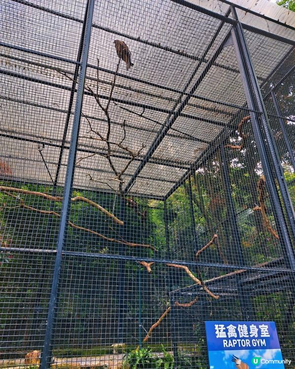 新手。遊車河[2] - 揸車去~嘉道理農場