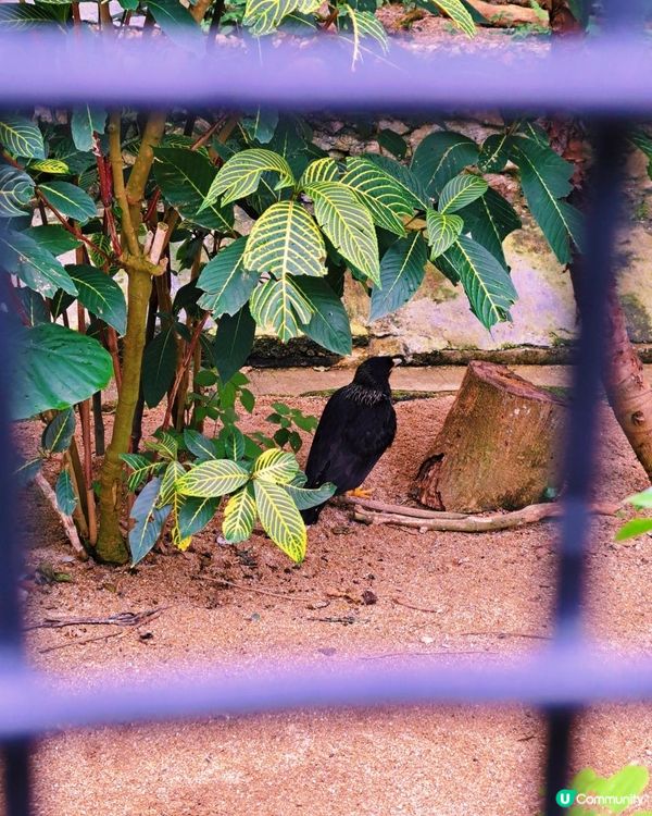 新手。遊車河[2] - 揸車去~嘉道理農場