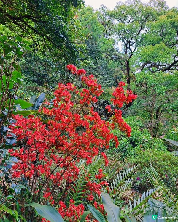 新手。遊車河[2] - 揸車去~嘉道理農場