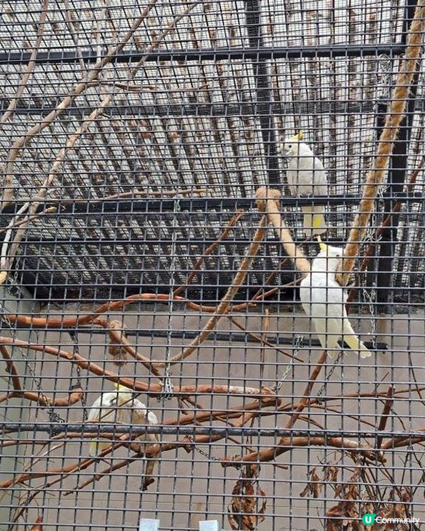 新手。遊車河[2] - 揸車去~嘉道理農場