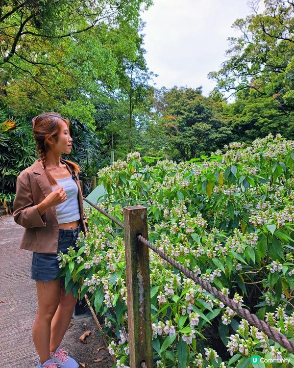 新手。遊車河[2] - 揸車去~嘉道理農場