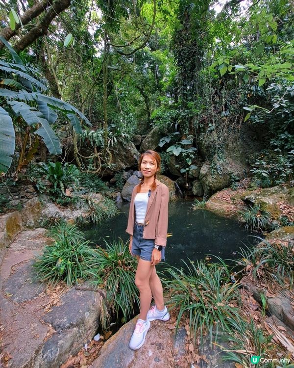 新手。遊車河[2] - 揸車去~嘉道理農場