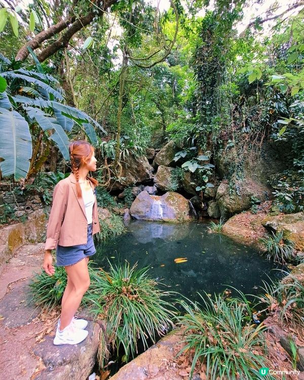 新手。遊車河[2] - 揸車去~嘉道理農場