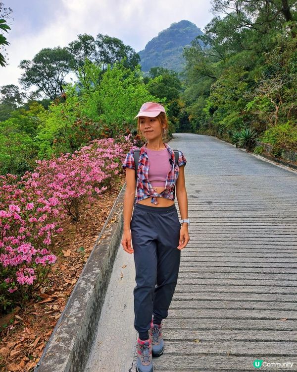 [行山要打卡]38 - 嘉道理農場暨植物園