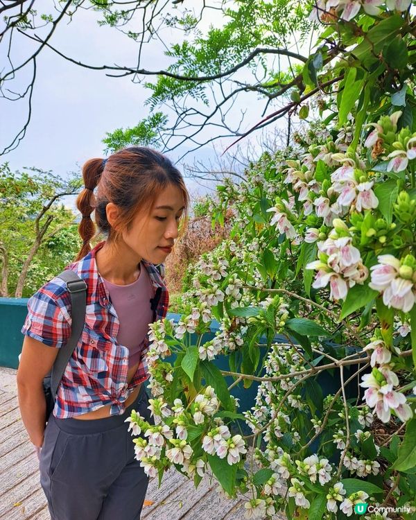 [行山要打卡]38 - 嘉道理農場暨植物園