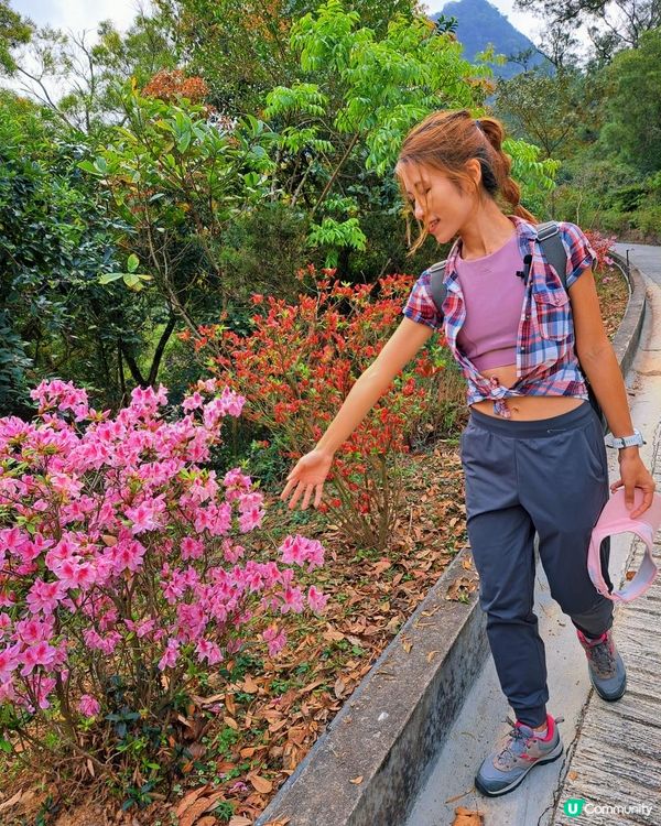 [行山要打卡]38 - 嘉道理農場暨植物園