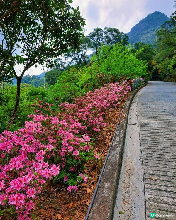 [行山要打卡]38 - 嘉道理農場暨植物園