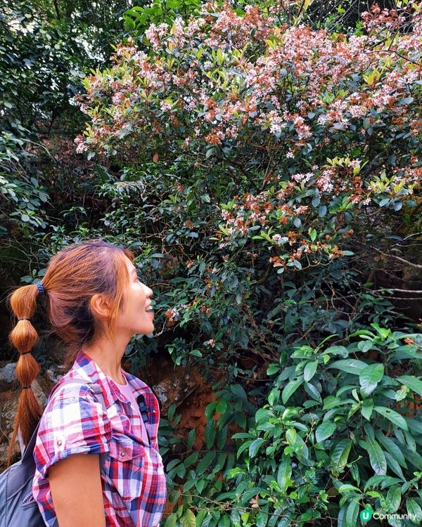 [行山要打卡]38 - 嘉道理農場暨植物園