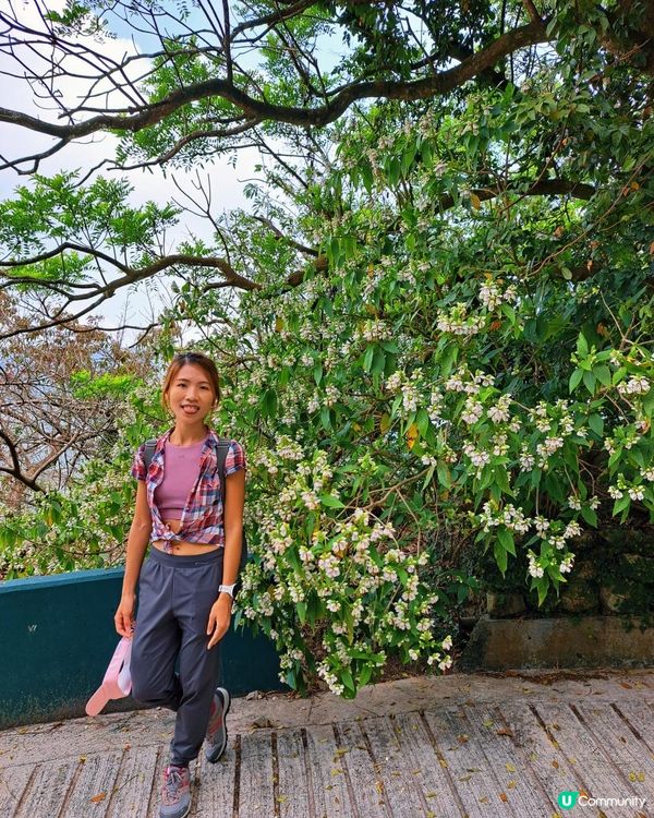 [行山要打卡]38 - 嘉道理農場暨植物園