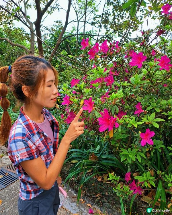 [行山要打卡]38 - 嘉道理農場暨植物園
