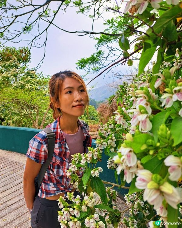 [行山要打卡]38 - 嘉道理農場暨植物園