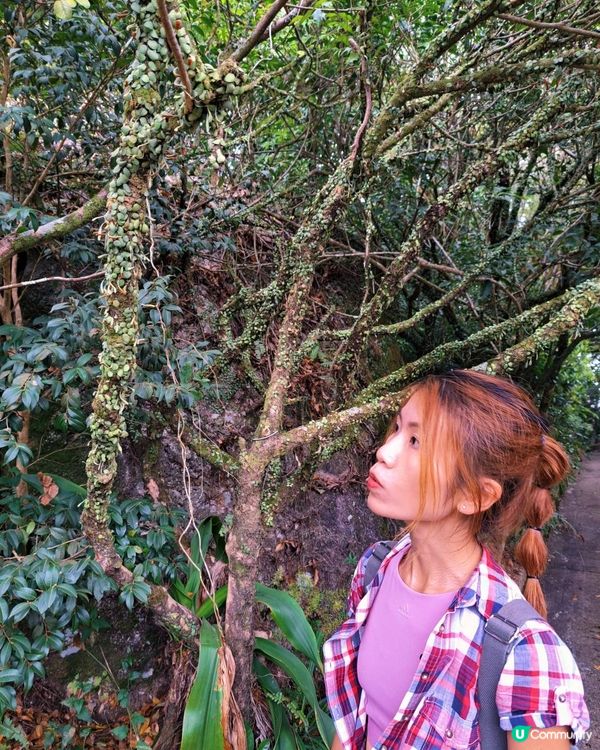 [行山要打卡]38 - 嘉道理農場暨植物園