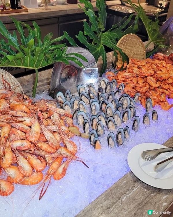 《環迴深圳》食物款色多 X 座位間闊落 @ Kitchen ( 深圳佳兆業萬豪酒店 )