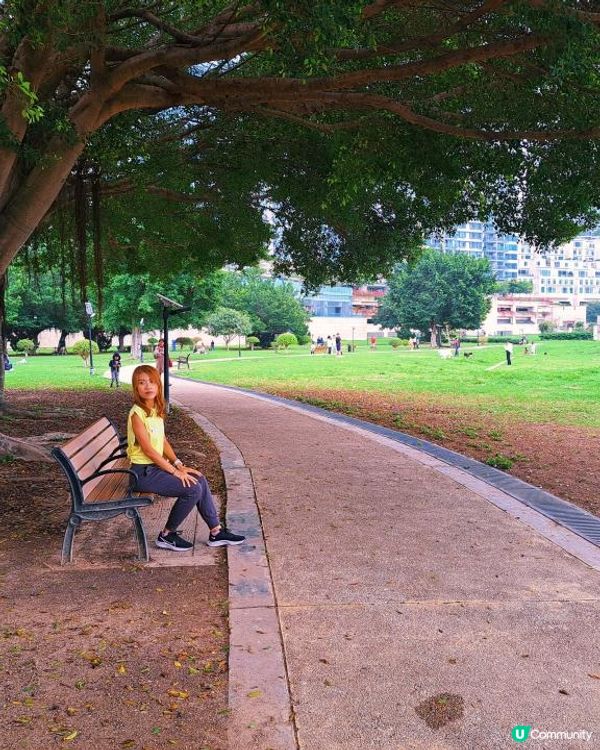 [行山要打卡]39 - 瀑布灣。華富雞蛋仔