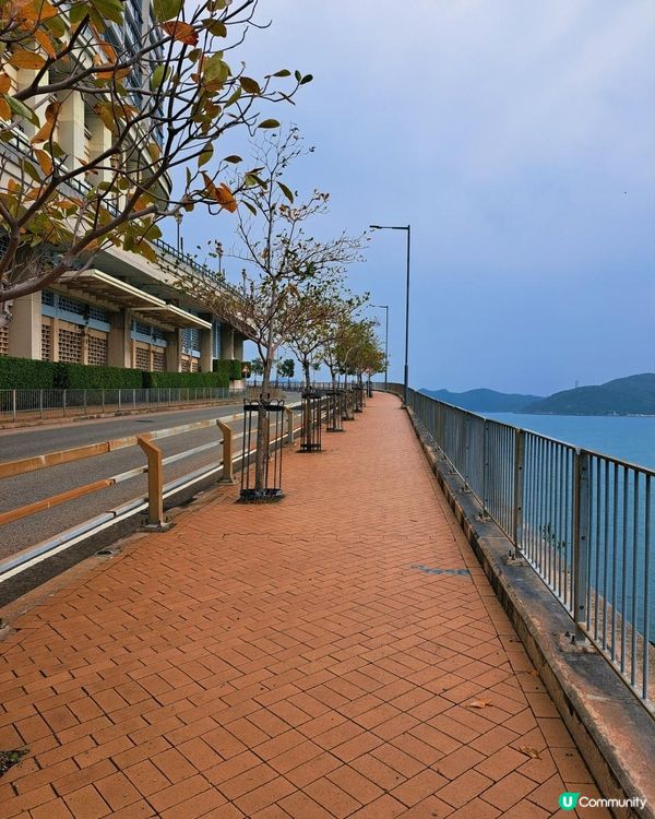 [行山要打卡]39 - 瀑布灣。華富雞蛋仔