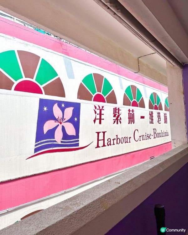 香港海上游｜洋紫荊維港遊