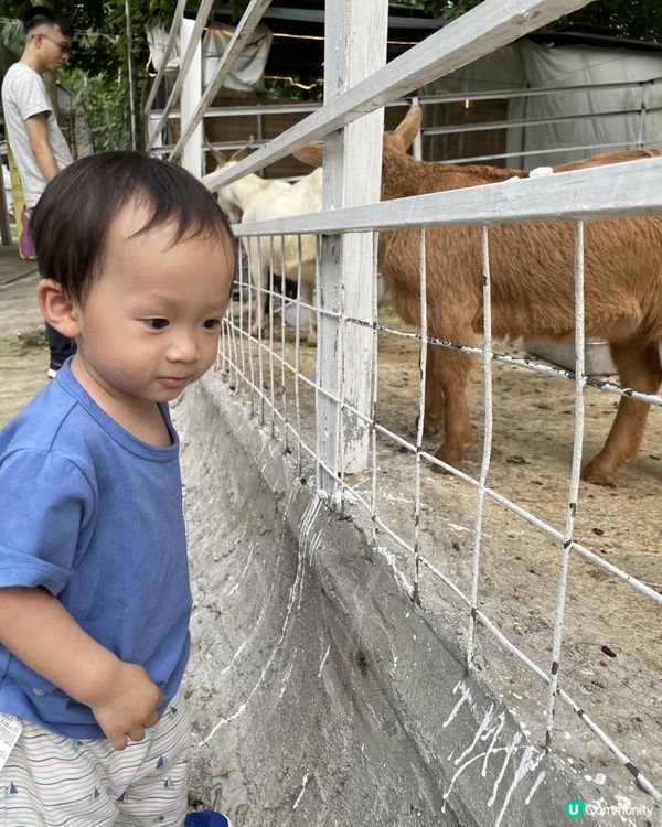 放假又係每星期最期待嘅家庭日