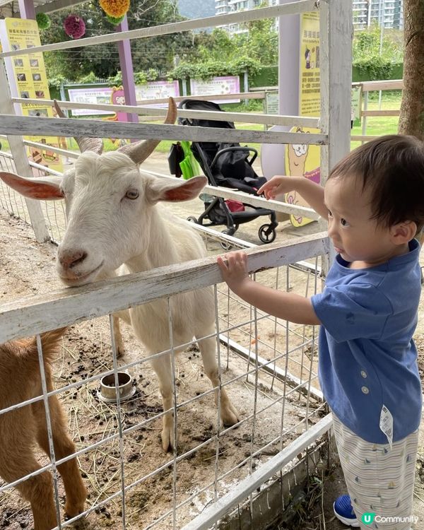 放假又係每星期最期待嘅家庭日