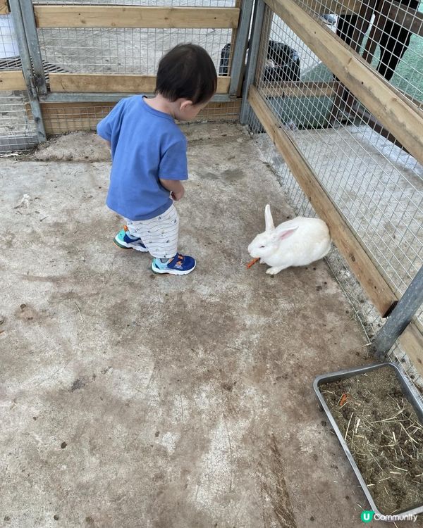 放假又係每星期最期待嘅家庭日