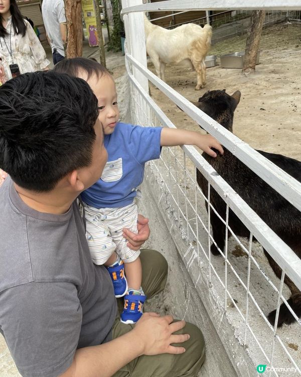 放假又係每星期最期待嘅家庭日