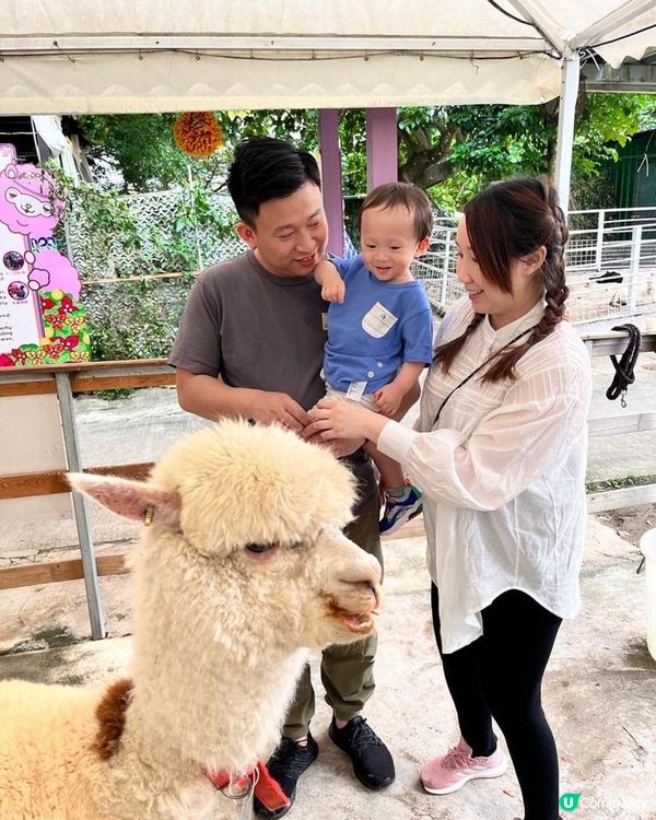 放假又係每星期最期待嘅家庭日