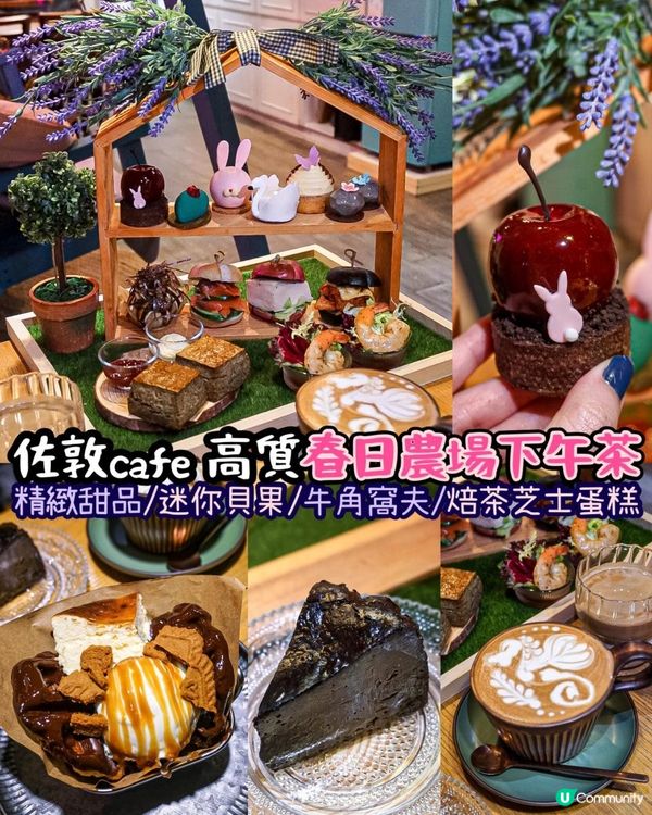 《佐敦高質抵食 𝗰𝗮𝗳𝗲 春日花園下午茶🌼🐇》 