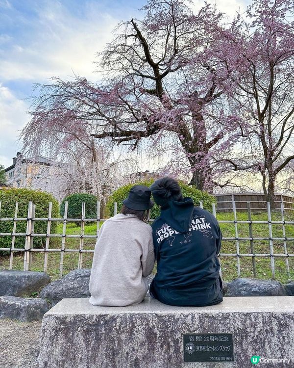 京都賞櫻🌸