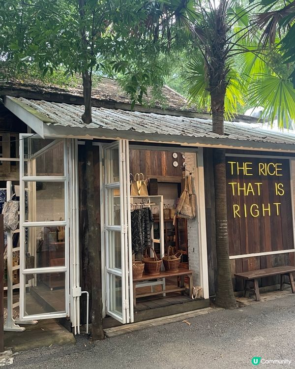 清邁抵食米芝蓮餐廳⭐️⭐️