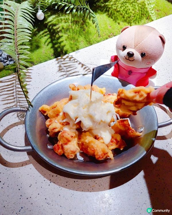 深圳｜春熙台｜足料韓國菜