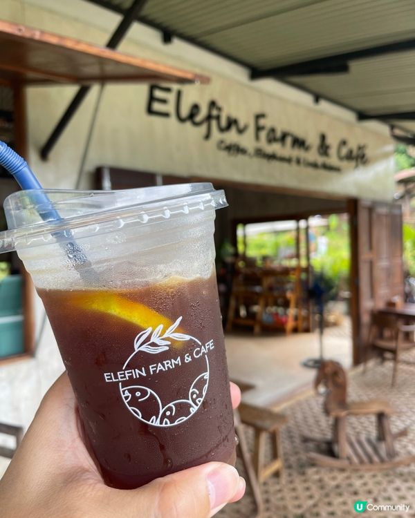 清邁大象cafe⭐️⭐️