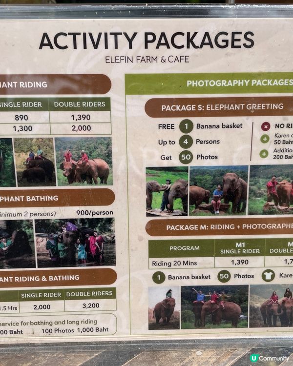 清邁大象cafe⭐️⭐️