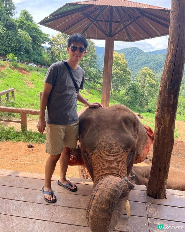 清邁大象cafe⭐️⭐️