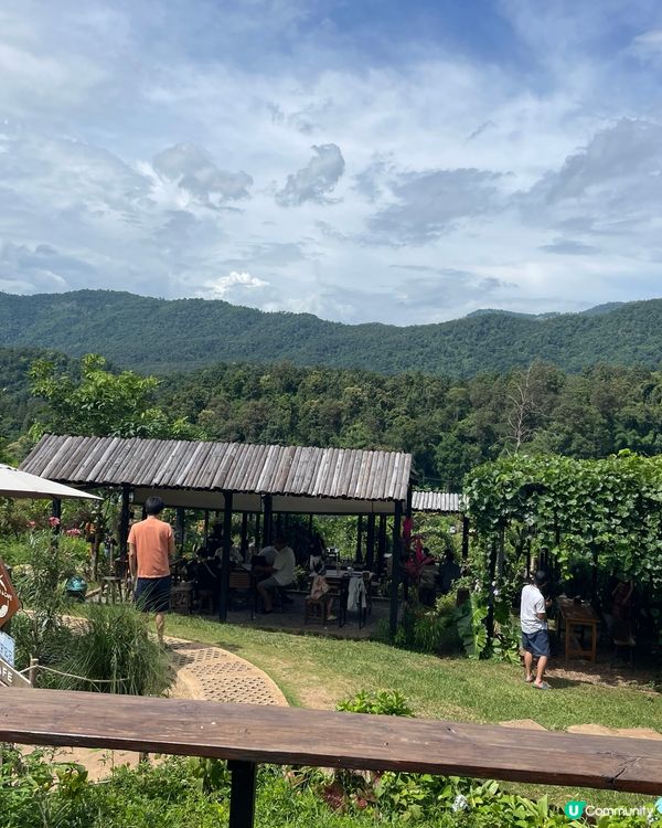 清邁大象cafe⭐️⭐️