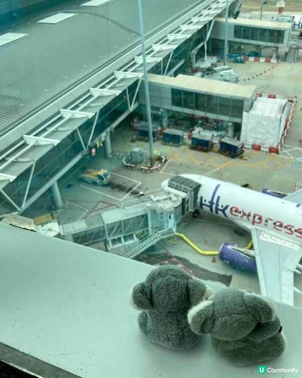 Travel Buddies日本東京遊記‧GH @ Koalascities