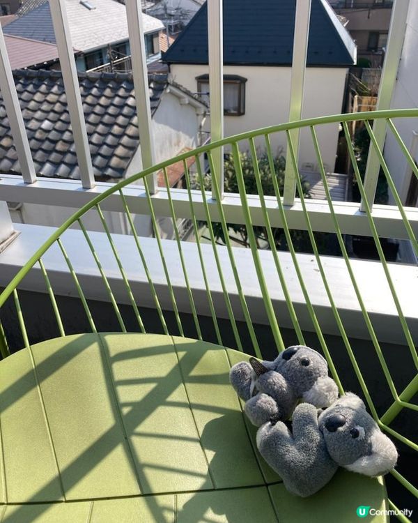 Travel Buddies日本東京遊記‧GH @ Koalascities