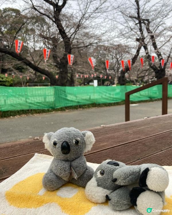 Travel Buddies日本東京遊記‧GH @ Koalascities