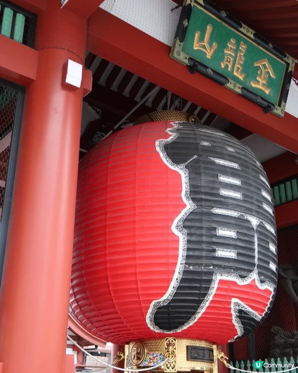 Travel Buddies日本東京遊記‧GH @ Koalascities