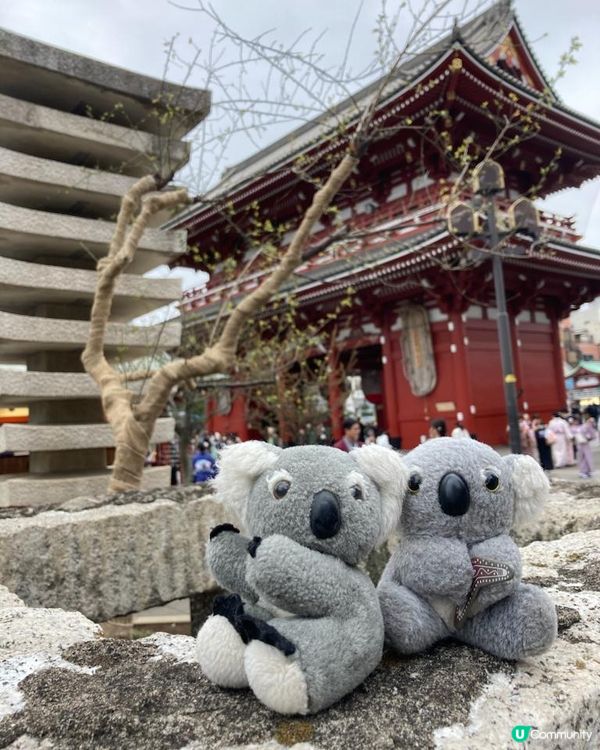 Travel Buddies日本東京遊記‧GH @ Koalascities